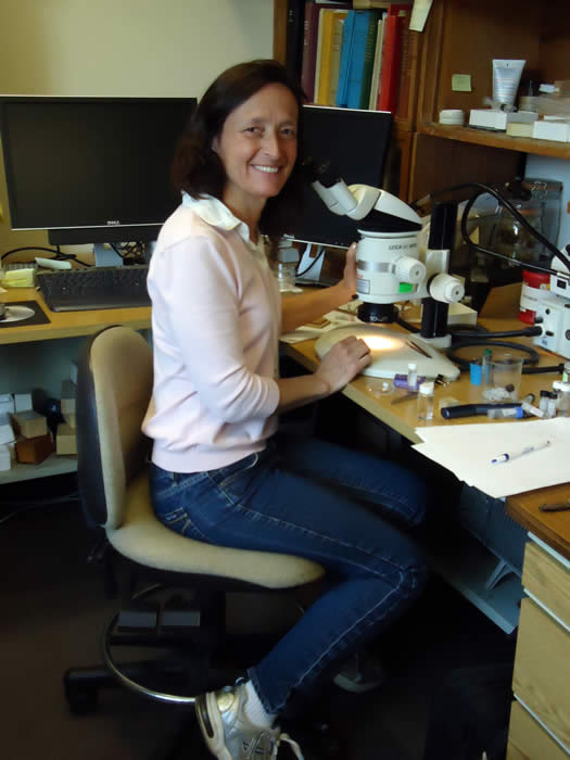 Image of Dr. Gale Ridge