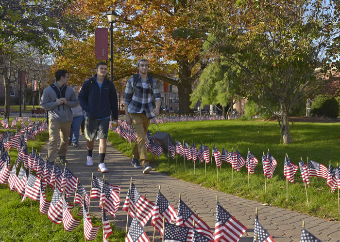Image of American flags on campus