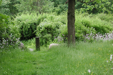 WNPMRRComposite16104