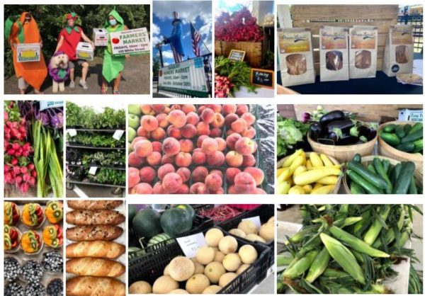 Farmers Market Images Collage