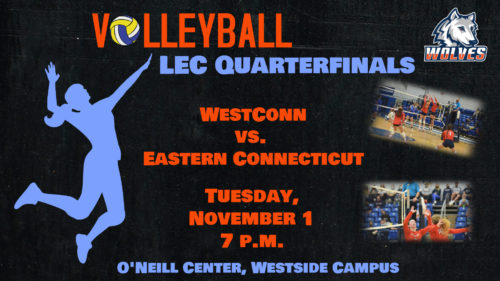 Volleyball LEC Quarterfinals 7 p.m.