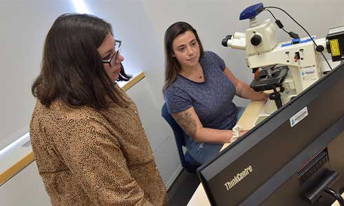 Western Connecticut State University Microscopy Lab