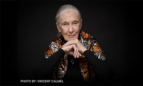 WCSU to honor Dr. Jane Goodall at public event on Nov. 12