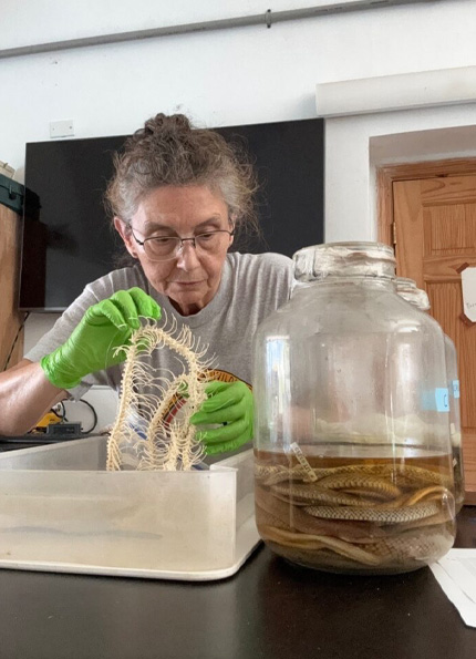 Never one to sit still, Dr. Theodora Pinou has been globe-trotting with the goal to document biodiversity and instill a love of STEM in students